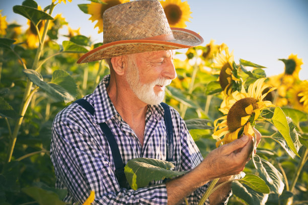 农夫在田里种着向日葵图片下载