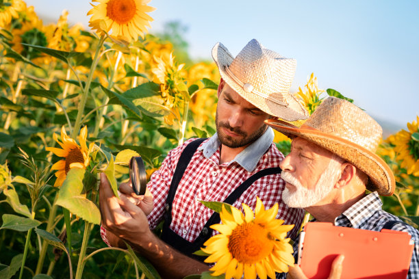两代农民一起工作图片下载
