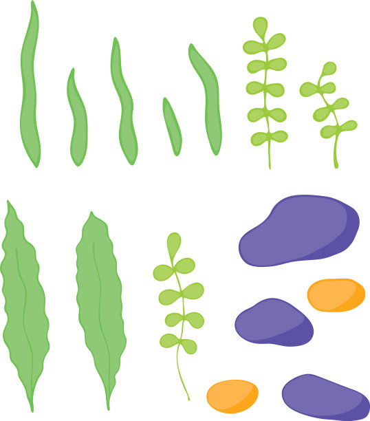 放置孤立的彩色海草和石头图片下载