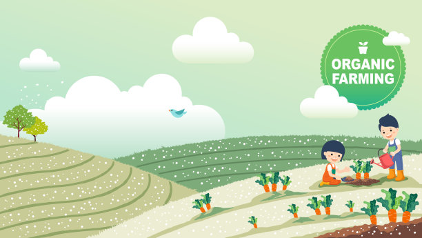 幼儿教育理念，可爱的孩子体验有机蔬菜园。乡村景观背景，矢量插图。图片下载