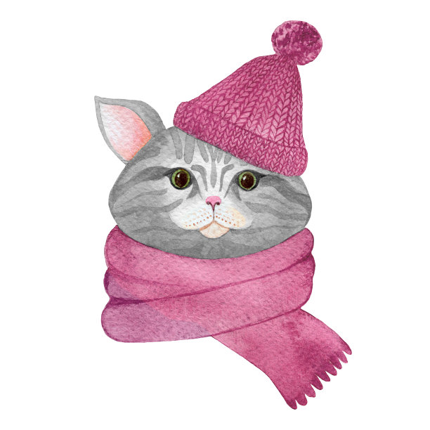 灰色水彩猫在粉红色的帽子和围巾孤立在白色的背景图片下载