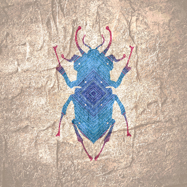 摘要昆虫插图图片下载