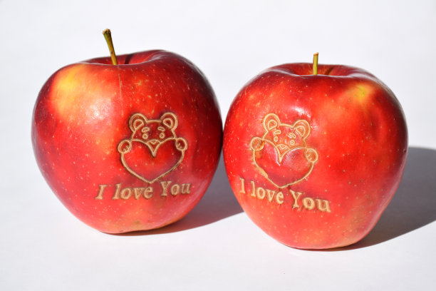 两个红苹果，上面写着“我爱你和泰迪熊”，白色的背景，概念的爱，诱惑，识别图片下载