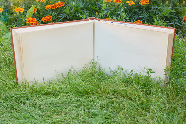 一个大的旧的褪色的相册或相册，书页泛黄，放在草坪上的绿草地上图片下载