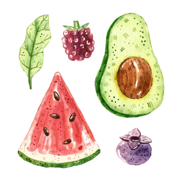 西瓜、鳄梨、蓝莓、覆盆子、叶子。热带水果剪辑艺术，设置。水彩插图。生的新鲜的健康食品。素食,素食者。夏天。设计元素孤立在白色背景上图片下载