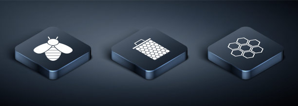 设置等距蜜蜂，蜂巢和蜂巢图标。向量图片下载