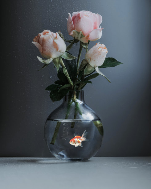 奥林巴斯数码相机图片下载