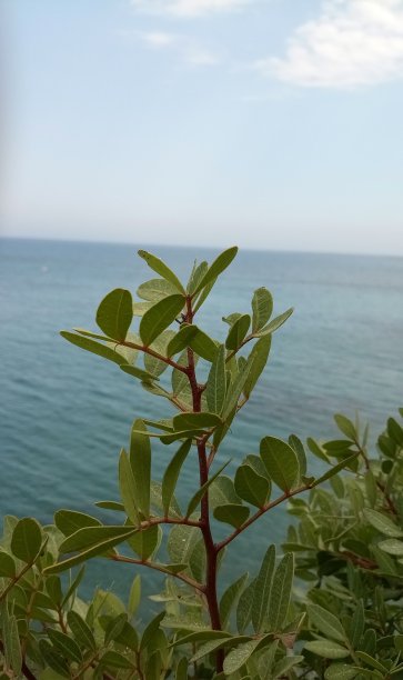 只要工厂图片下载