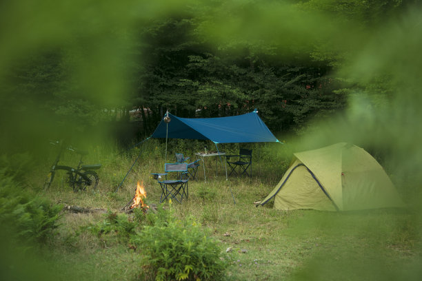 森林、露营、篝火,图片下载