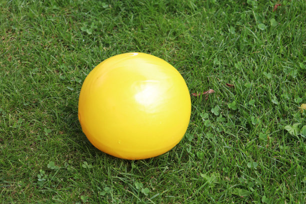 绿色草地上的黄色弹力球图片下载
