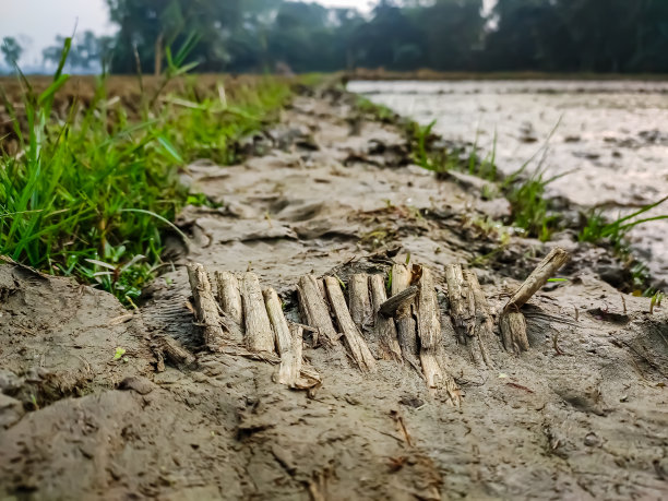 这张照片拍摄于一个冬天的早晨，在农田中间的一条泥泞的道路上。图片下载