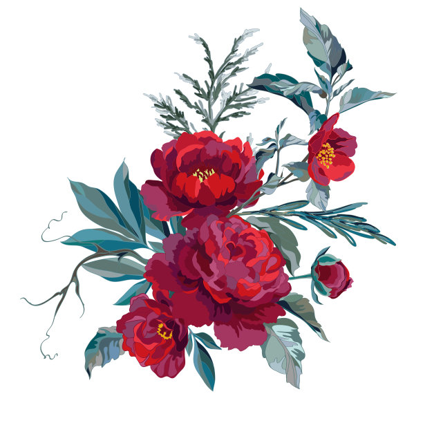 深红色的牡丹图片下载