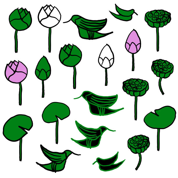 莲花和蜂鸟图案和重复载体图片下载