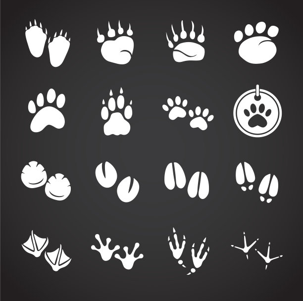 动物脚印图标设置为背景图片下载