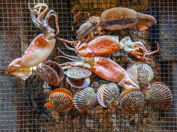 扇贝和鱿鱼在热煤炉上烧烤。潜水员小屋新鲜海鲜课程，日本海鲜烧烤图片下载