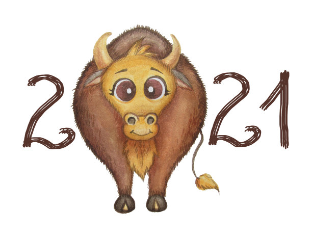 新2021年。水彩画家养动物-可爱和有趣的棕色公牛。白色背景上的水彩画。牛年。2021年的高品质照片标志。图片下载