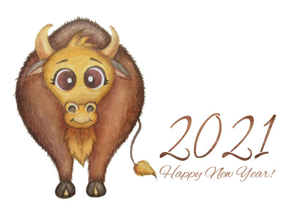 象征牛年。水彩画的可爱和有趣的公牛和文本新年2021。水平水彩在一个白色的背景。图片下载