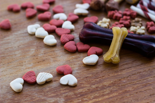 狗狗美味的彩色饼干，狗狗的零食图片下载