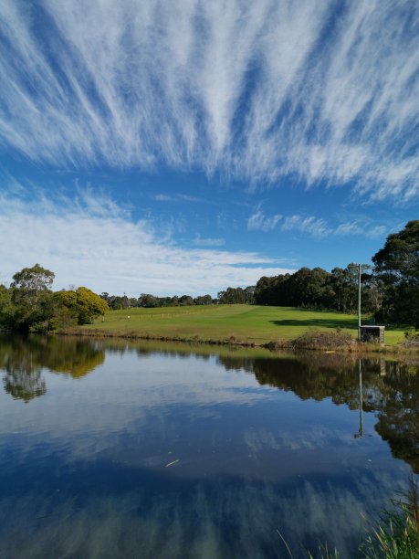 清晨的一个池塘在一个公园与倒影的深蓝色的天空，轻蓬松的云和树上的水图片下载