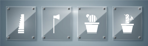 把仙人掌和多汁的花盆仙人掌和图片下载