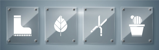 在花盆园艺中设置仙人掌和多肉植物图片下载