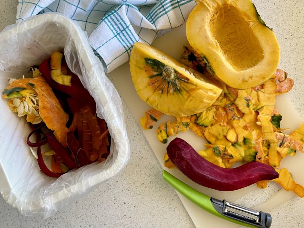 有机废物回收概念-有机废物分类，蔬菜皮堆肥。去皮蔬菜和有机垃圾桶图片下载