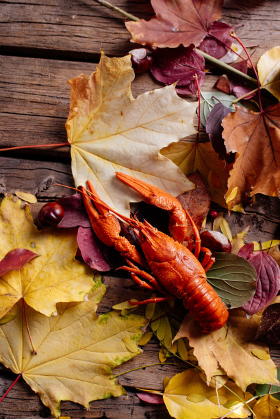 小龙虾在木桌上图片下载