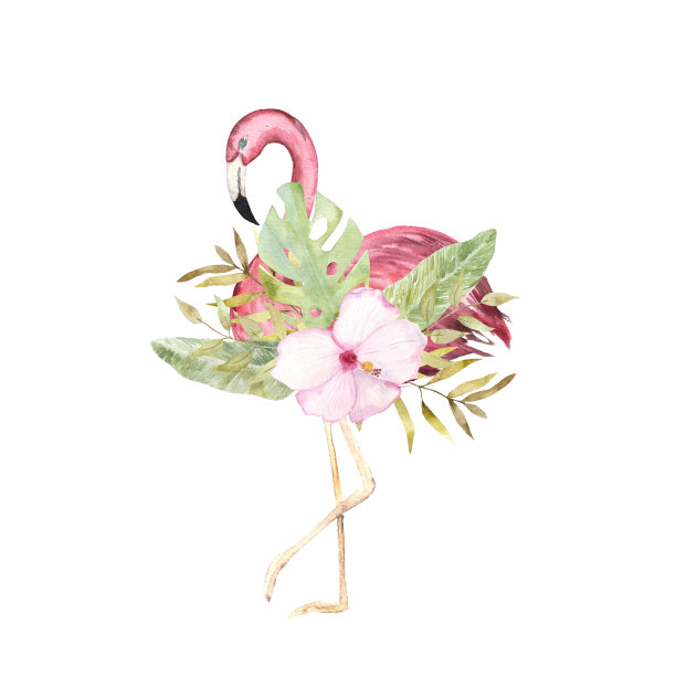 水彩插图。一只粉红色火烈鸟和一束热带鲜花的图片。图片下载