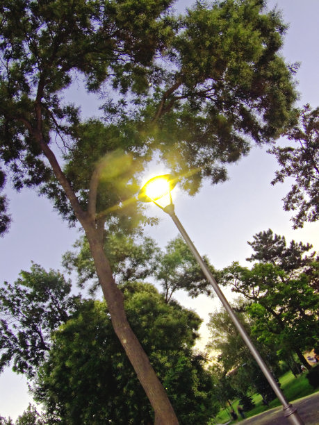 黄昏时分，公园里的灯笼图片下载