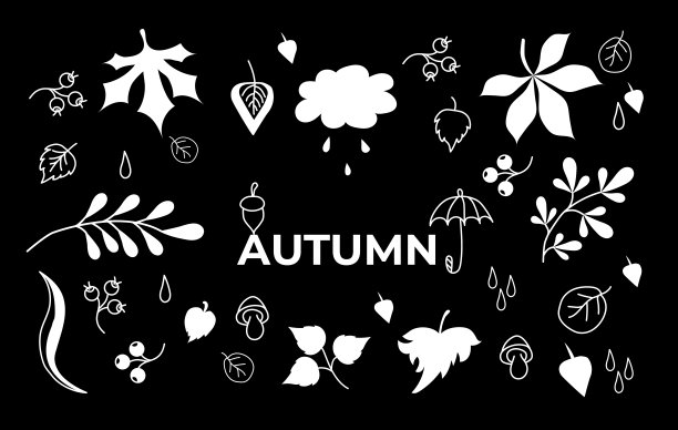 向量组秋天的图纸上的黑色背景。白色的轮廓和轮廓。各种树叶、浆果、蘑菇和文字的涂鸦。秋季的一系列元素。向量图片下载