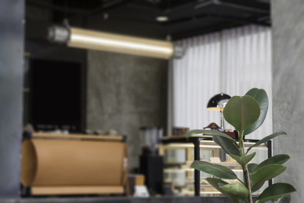 咖啡店内的热带绿色植物图片下载