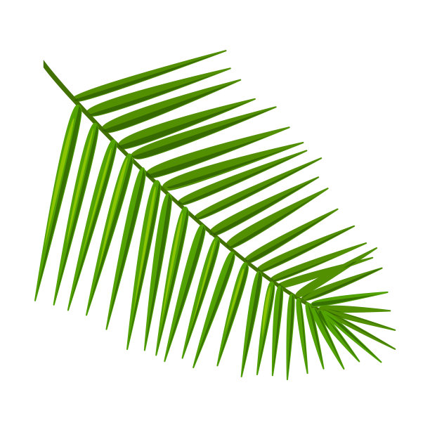 椰子叶图标卡通图标图片下载