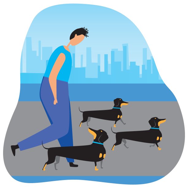 男人遛狗作为狗育种概念，平面矢量股票插图与主人和腊肠犬图片下载