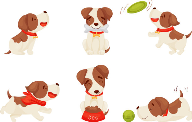 可爱的小狗戴着狗项圈玩球图片下载