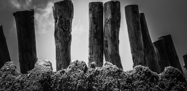 牙齿矫正医师要求图片下载