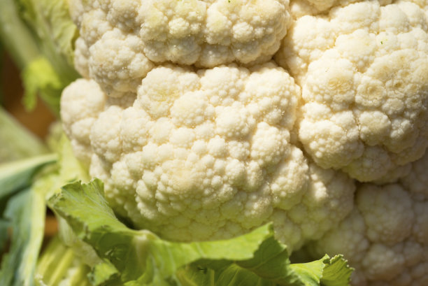 菜花新鲜，特写补屏图片下载