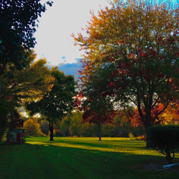 午后秋天的太阳图片下载