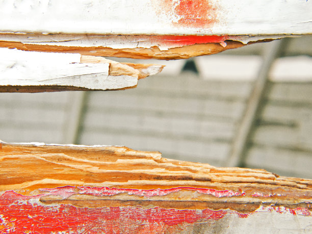 部分船体特写(图03)图片下载