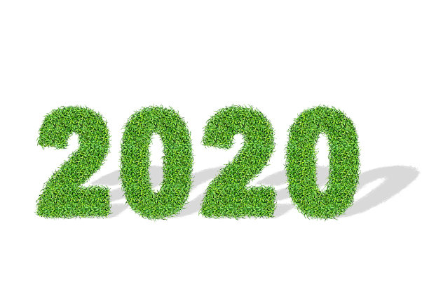 2020年绿草数。白色背景上的草坪纹理。图片下载