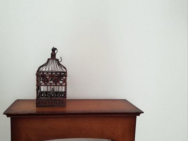 锻造笼内部细节图片下载