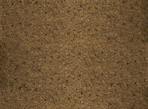 褐色海绵的质地。为背景。关闭了。白色海绵自然图案纹理抽象为背景。宏。图片下载