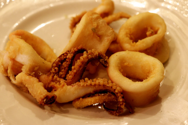 在盘子里炸鱿鱼-近距离图片下载