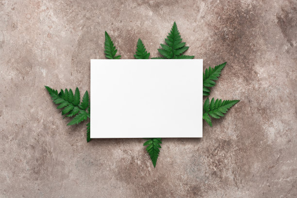 空白贺卡模型和蕨类树叶在米色乡村背景。现代文具静物。俯视图，平铺，放置文本。图片下载