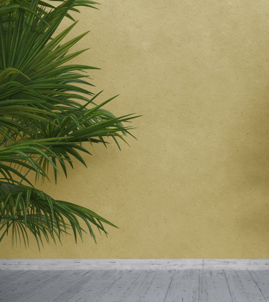 明亮的黄色墙壁与绿色的热带树叶，阳光与阴影。夏天,春天的背景。图片下载