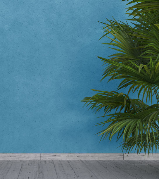 明亮的蓝色墙壁与绿色热带树叶，阳光与阴影。夏天,春天的背景。图片下载
