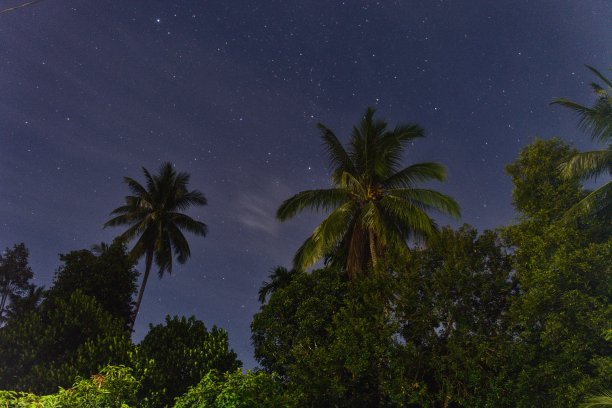 夜空和星星散开了图片下载
