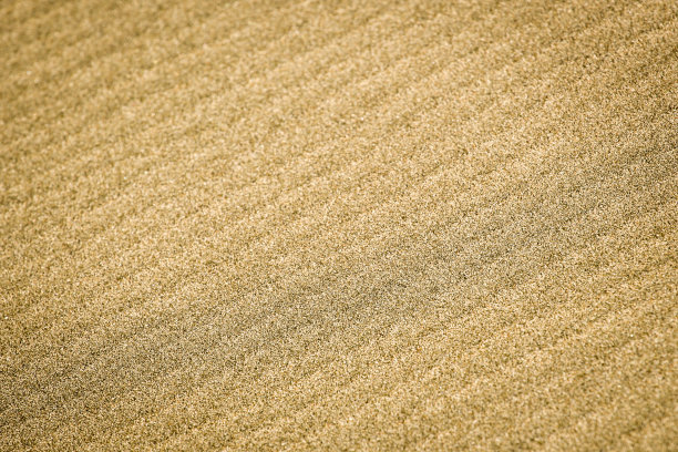 特写的沙子背景纹理图片下载