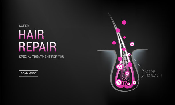 毛囊在皮肤中生长维生素角蛋白图片下载