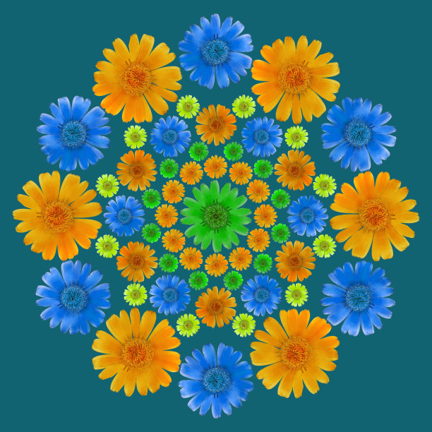 曼陀罗来自干压花，花瓣。金盏花officinalis。曼荼罗是佛教、瑜伽的象征。用东方风格的花卉元素装饰曼陀罗，放松和冥想图片下载