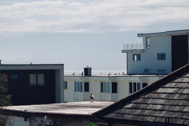 透过白色和蓝色建筑的视野图片下载